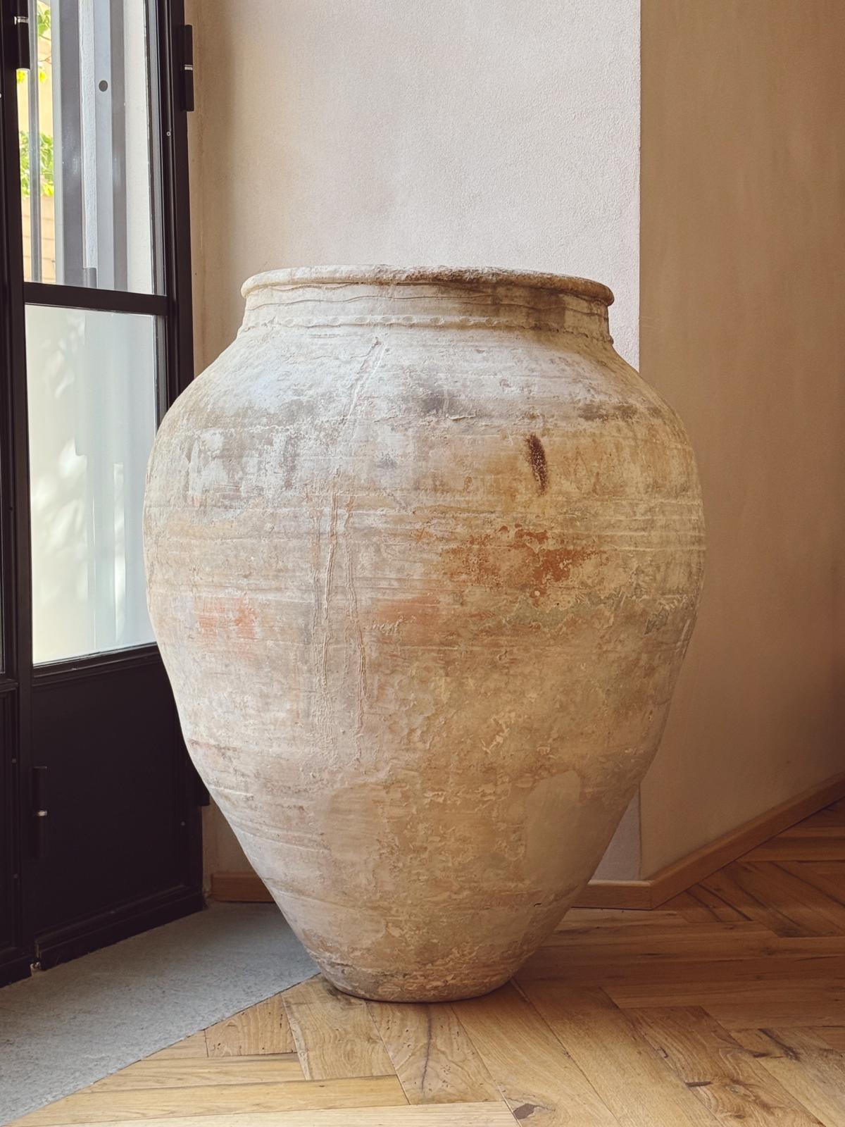 18th Century Giant Olive Oil Orcio