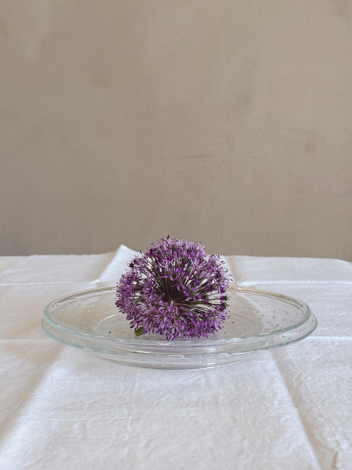 Pair of 1950s Spotted Seguso Hand-blown Murano Glass Plates
