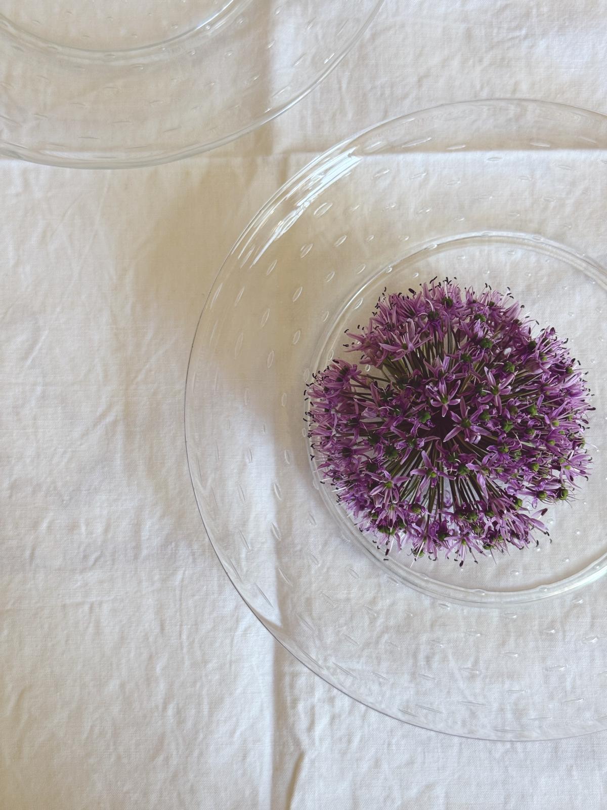 Pair of 1950s Spotted Seguso Hand-blown Murano Glass Plates
