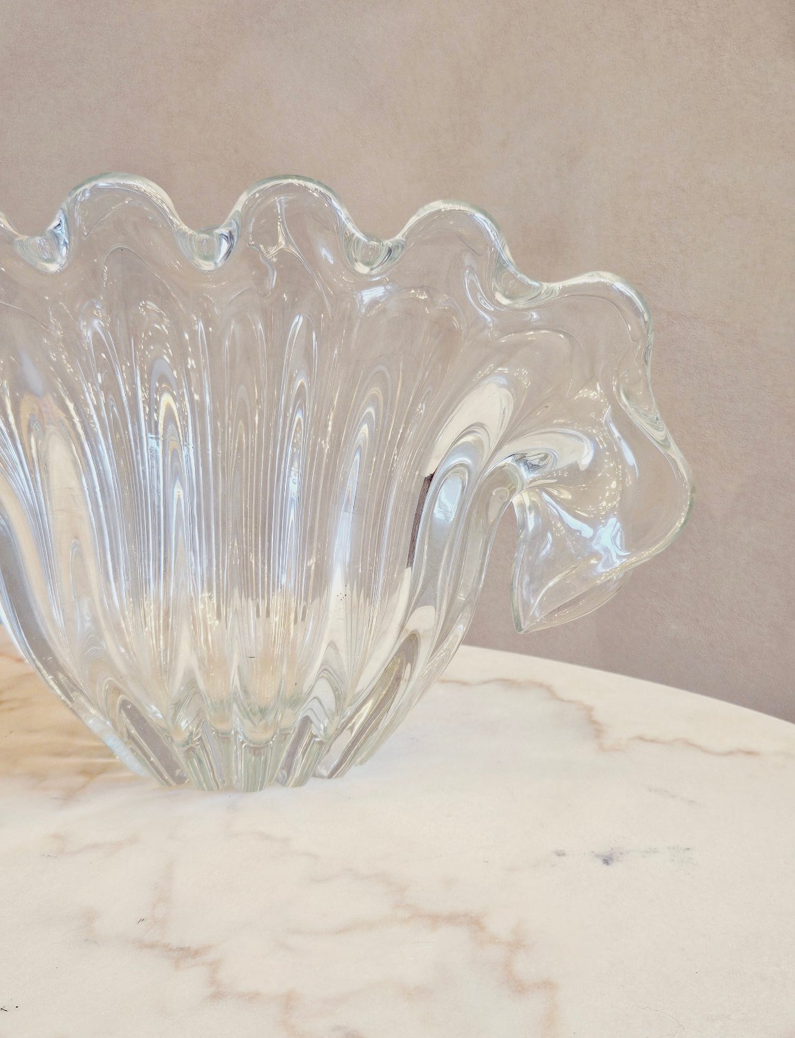 1950s Giant Seguso Shell Vase