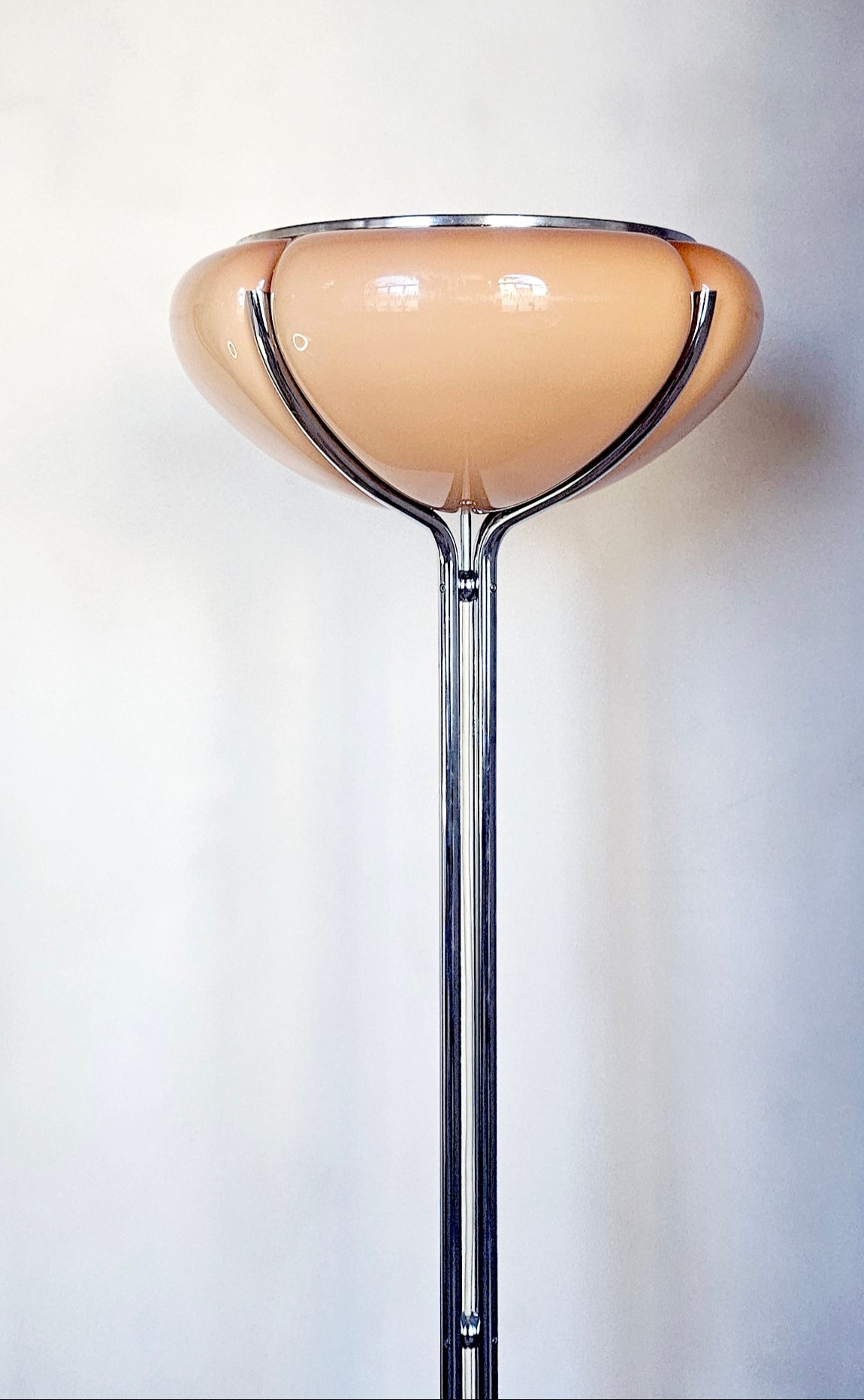 1950s Gae Aulenti Floor Lamp