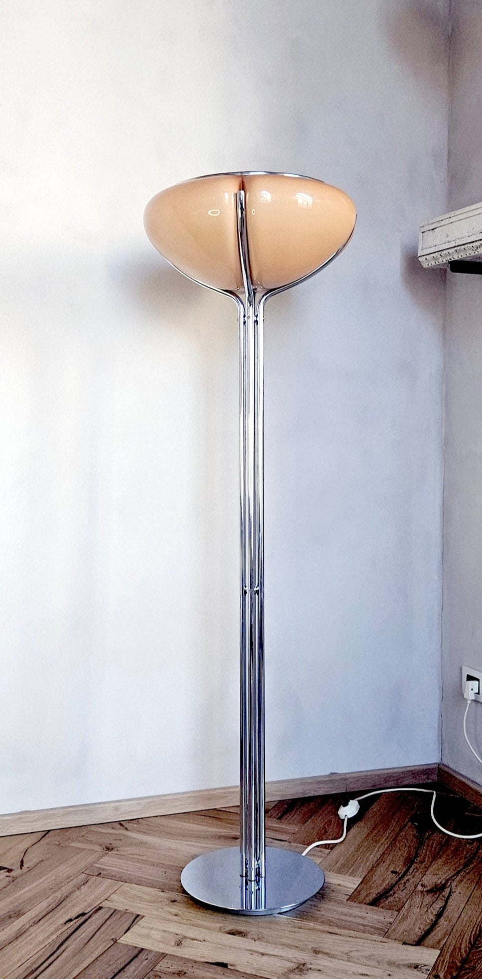 1950s Gae Aulenti Floor Lamp