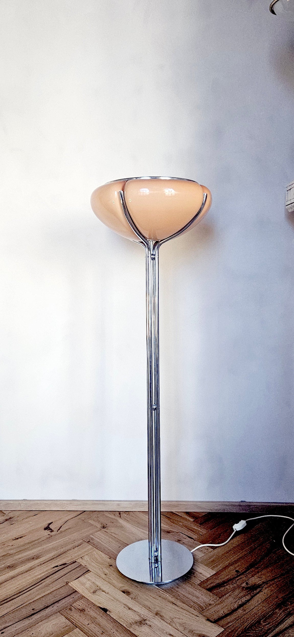 1950s Gae Aulenti Floor Lamp