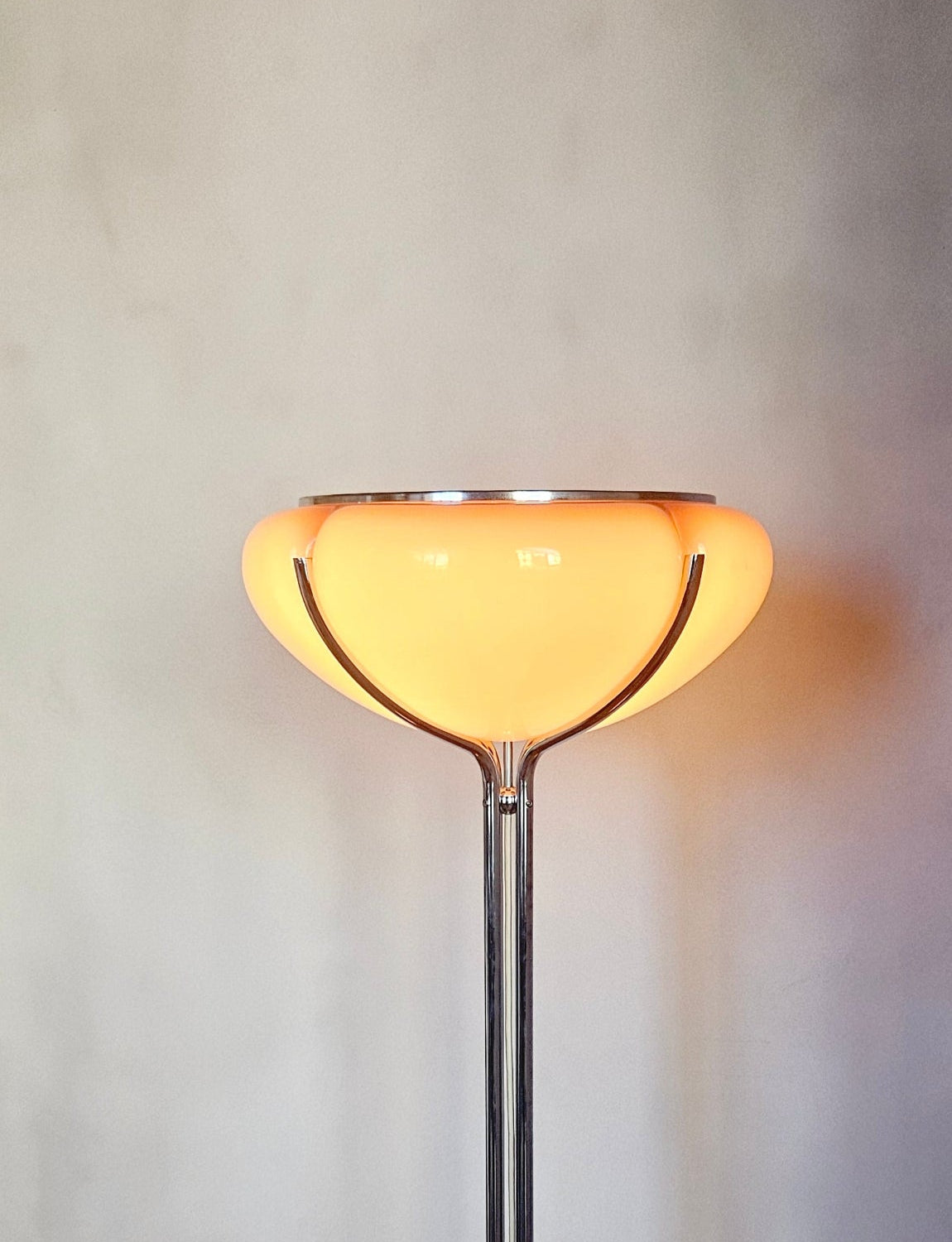 1950s Gae Aulenti Floor Lamp