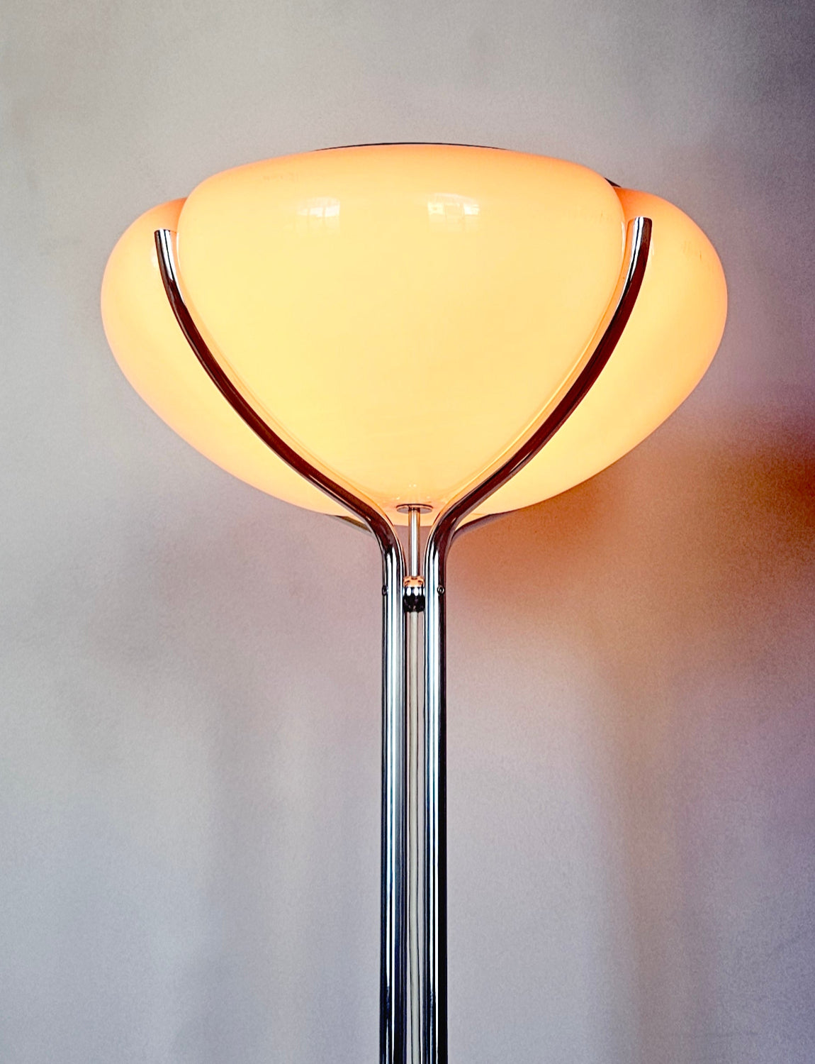 1950s Gae Aulenti Floor Lamp