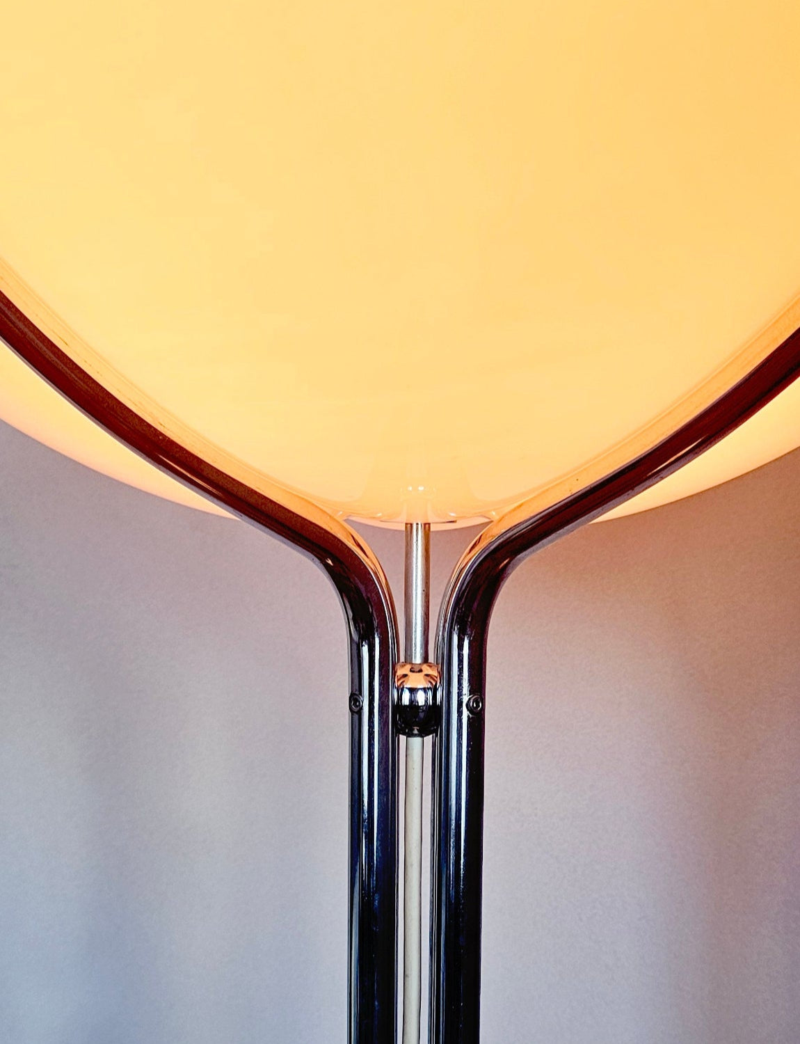 1950s Gae Aulenti Floor Lamp