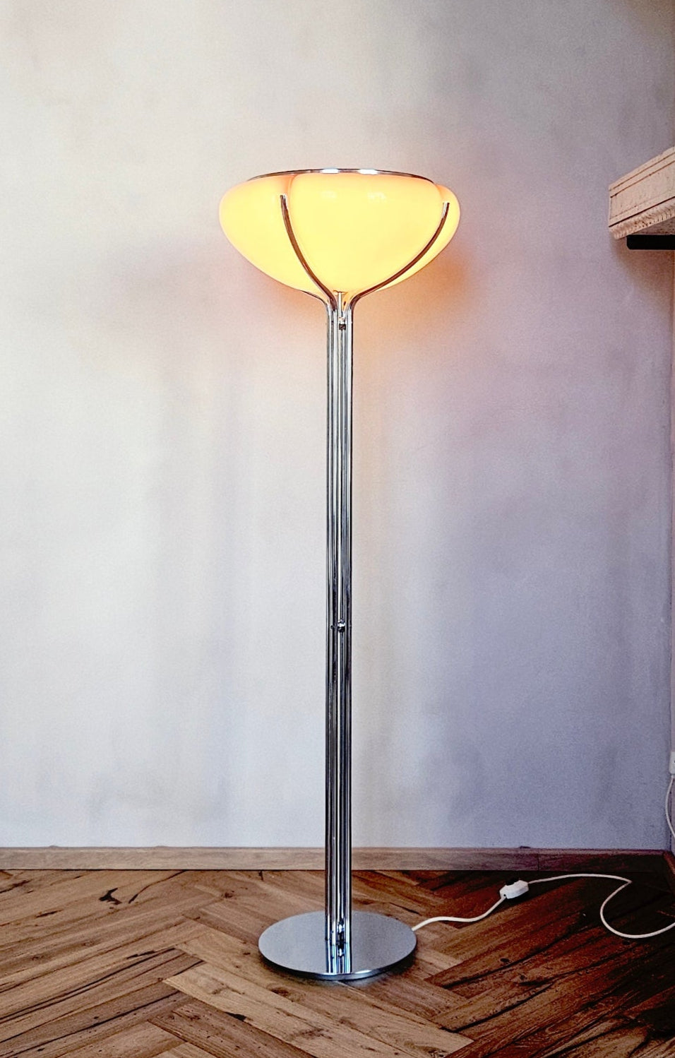 1950s Gae Aulenti Floor Lamp