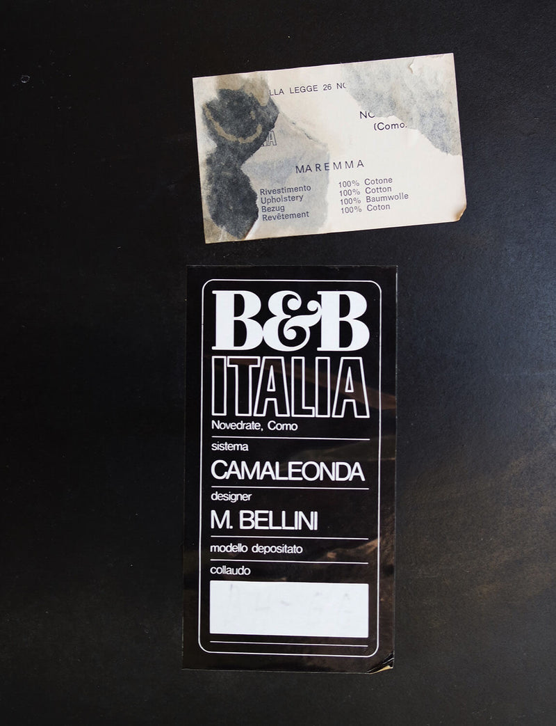 1970s B&B Italia Camaleonda Sofa by Mario Bellini