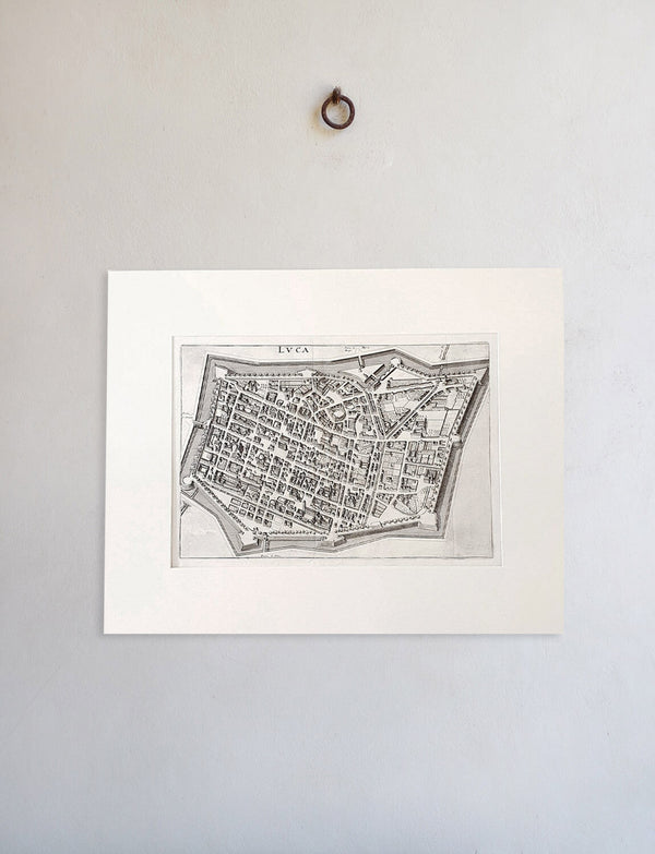 Original Parchment Map of the city of Lucca dated 1640