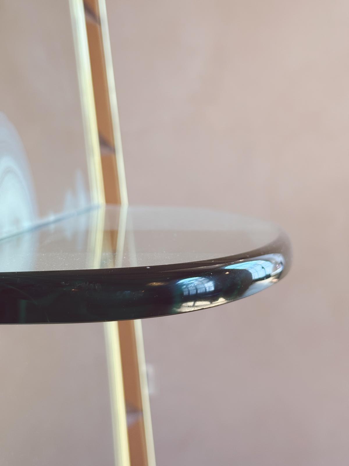 1960s Rose Glass Crystal Art Floor Length Mirror