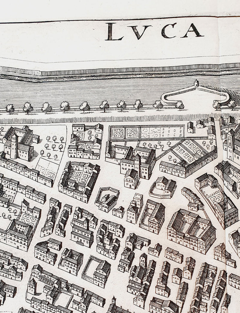 Original Parchment Map of the city of Lucca dated 1640